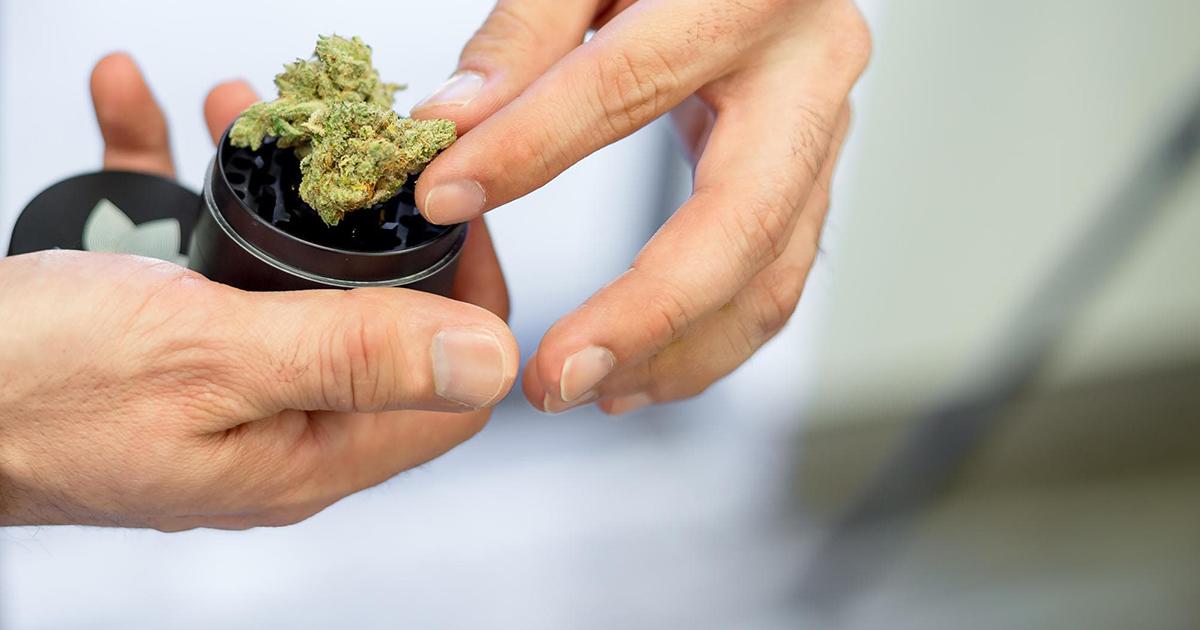 Zen-Grinder_Featured