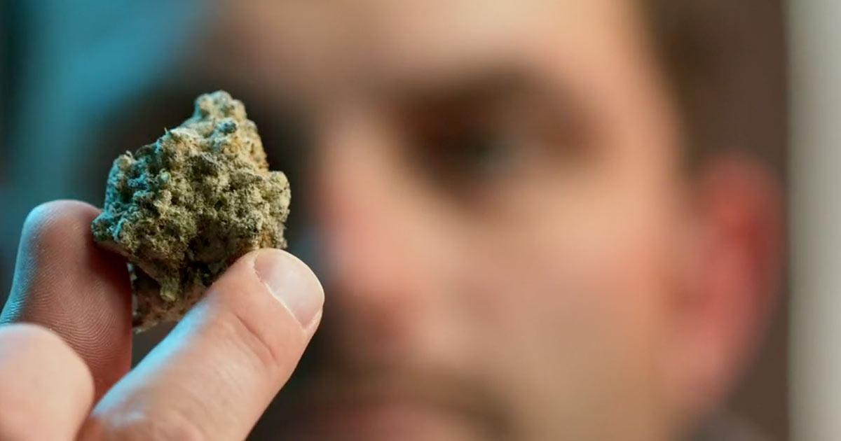 420 celebrations with cannabis