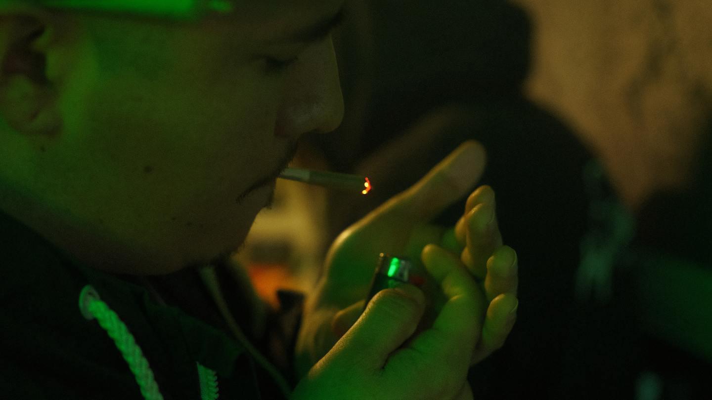 Photo of Top 10 Cannabis Strains With Myrcene